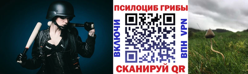 Галлюциногенные грибы Psilocybine cubensis  купить   Киреевск 